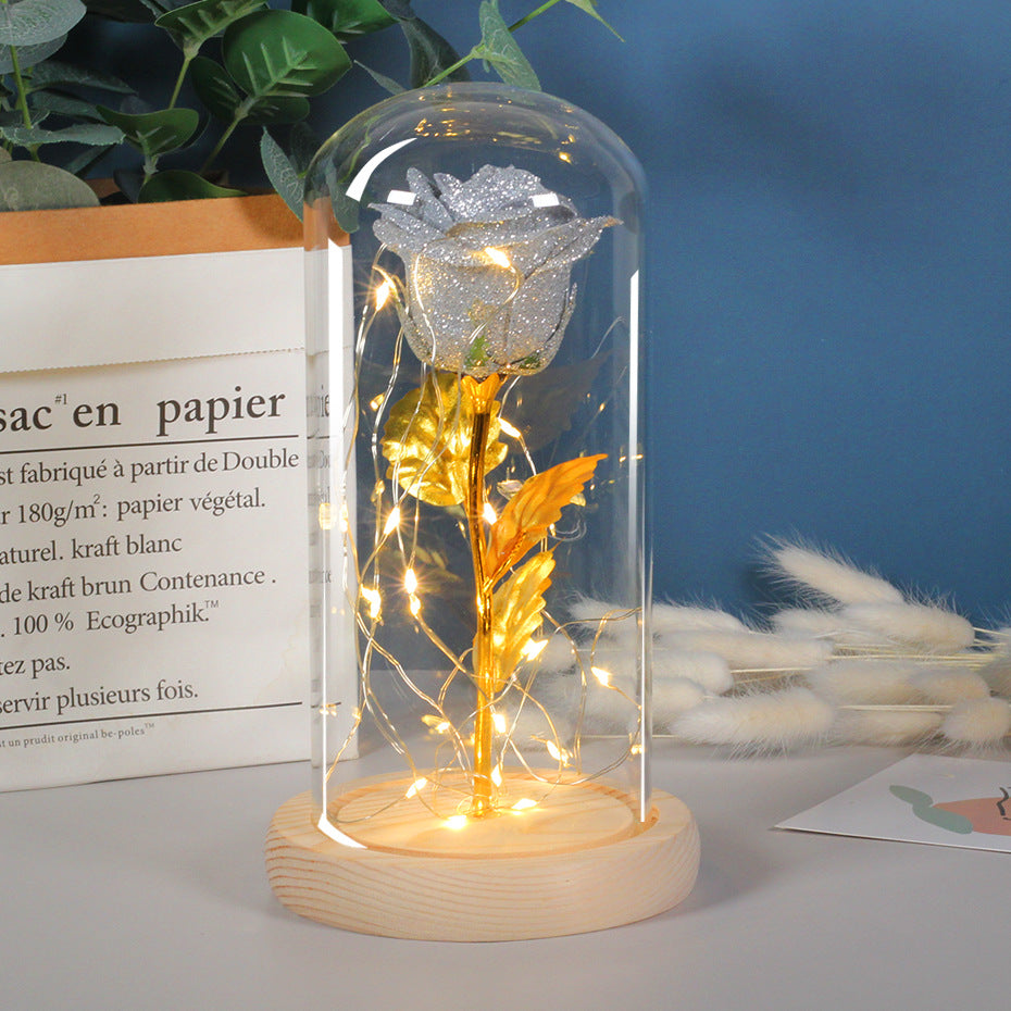 Valentines Day Gift  For Girlfriend Eternal Rose Flowers LED Light In Glass Cover Day Wedding Decoration Favors Mother Day Female Gift  Gift - TrendyPrime