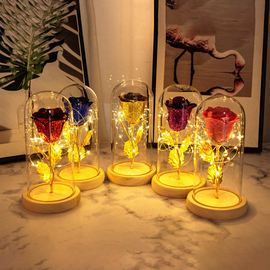 Valentines Day Gift  For Girlfriend Eternal Rose Flowers LED Light In Glass Cover Day Wedding Decoration Favors Mother Day Female Gift  Gift - TrendyPrime